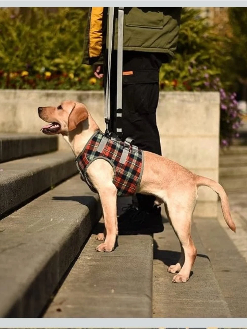 ROZKITCH Dog Lift Harness, Grid Pet Chest Support Aid Small. 2562/bb14-1